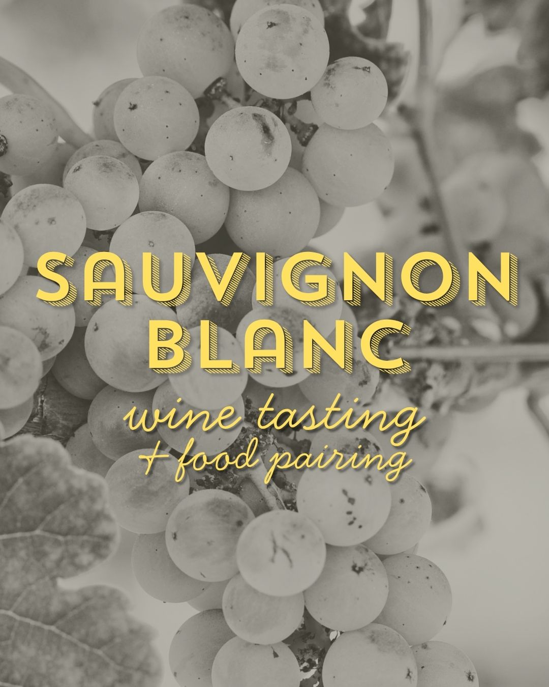 Sauvignon Blanc Wine Tasting & Food Pairing